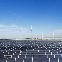 睿晶光伏太陽能與風能發(fā)電的招商優(yōu)勢及聯(lián)系方式